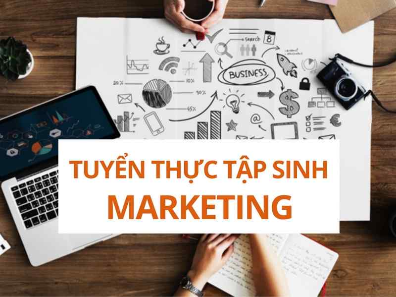 Mức lương của thực tập sinh Marketing 