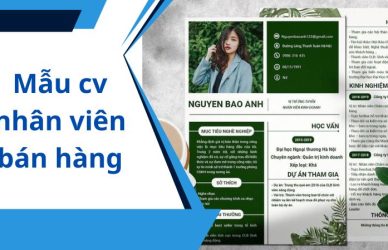 mẫu cv nhân viên bán hàng